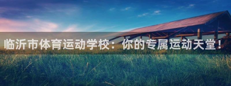 杏鑫：临沂市体育运动学校：你的专属运动天堂！