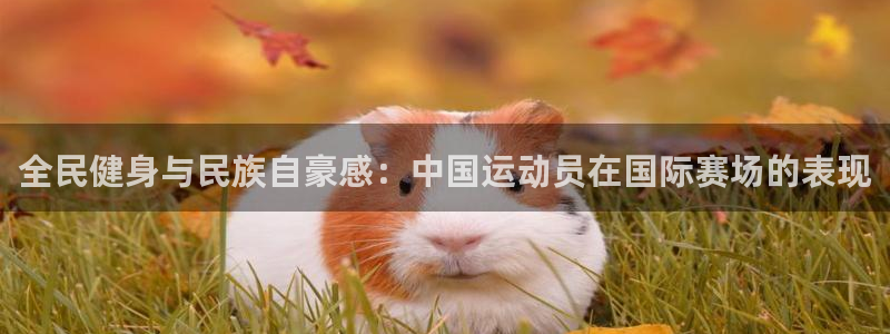 杏鑫4注册：全民健身与民族自豪感：中国运动员在国际赛场的表现