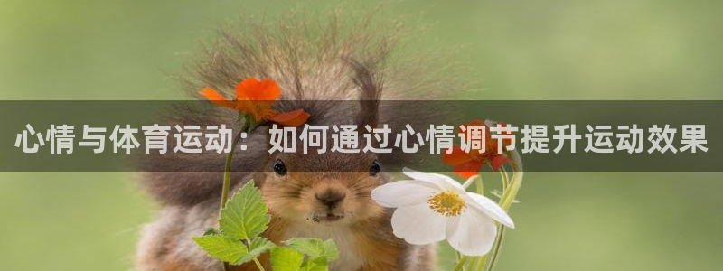 杏鑫体育官网入口登录：心情与体育运动：如何通过心情调节提升运动效果