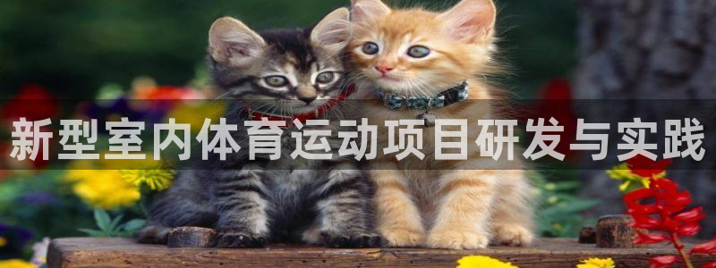 杏鑫体育凯捷平台代理：新型室内体育运动项目研发与实践