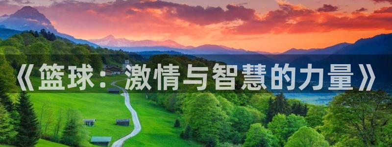 杏鑫体育f开户：《篮球：激情与智慧的力量》