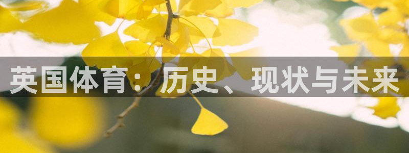 杏鑫2注册：英国体育：历史、现状与未来