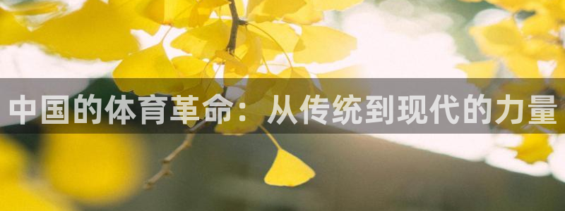意昂注册：中国的体育革命：从传统到现代的力量
