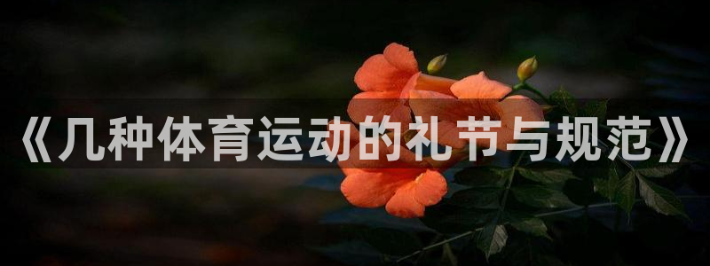 杏鑫凯捷注册：《几种体育运动的礼节与规范》