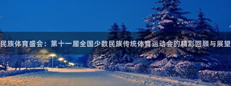 杏鑫凯捷注册：民族体育盛会：第十一届全国少数民族传统体育运动会的精彩回顾与展望