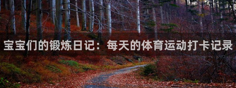 杏鑫凯捷开号链接：宝宝们的锻炼日记：每天的体育运动打卡记录