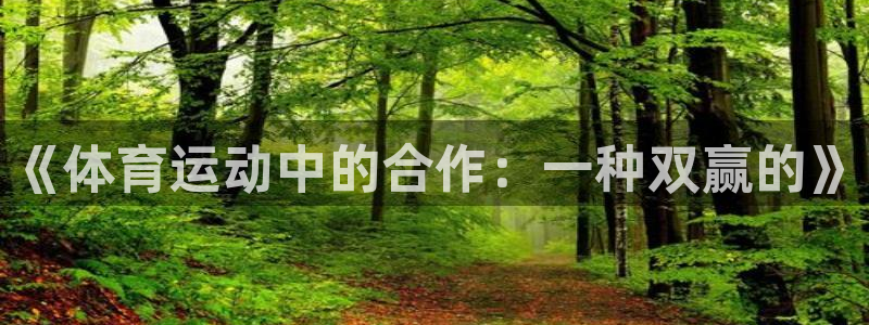 杏鑫体育app下载：《体育运动中的合作：一种双赢的》