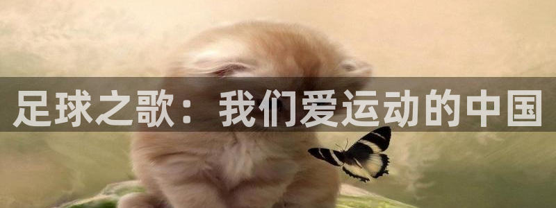 杏鑫体育凯捷登陆