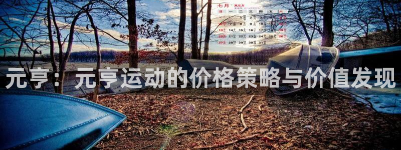 杏鑫体育：元亨：元亨运动的价格策略与价值发现